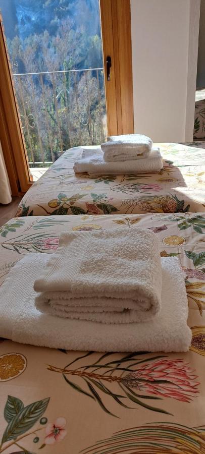Apartament Cal Bardillo Bagá Zewnętrze zdjęcie